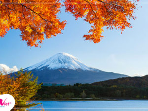 Du lịch mùa Thu - Tour Du lịch Nhật Bản Narita - Tokyo - Nagoya - Kyoto từ Hà Nội
